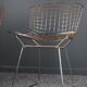 Pair of chairs by Harry Bertoia 80