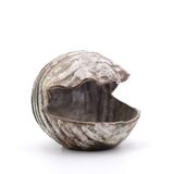 Ceramic shell emptier by Kostanda, Vallauris, 1960s