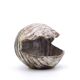 Ceramic shell emptier by Kostanda, Vallauris, 1960s