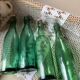Antique glass bottles