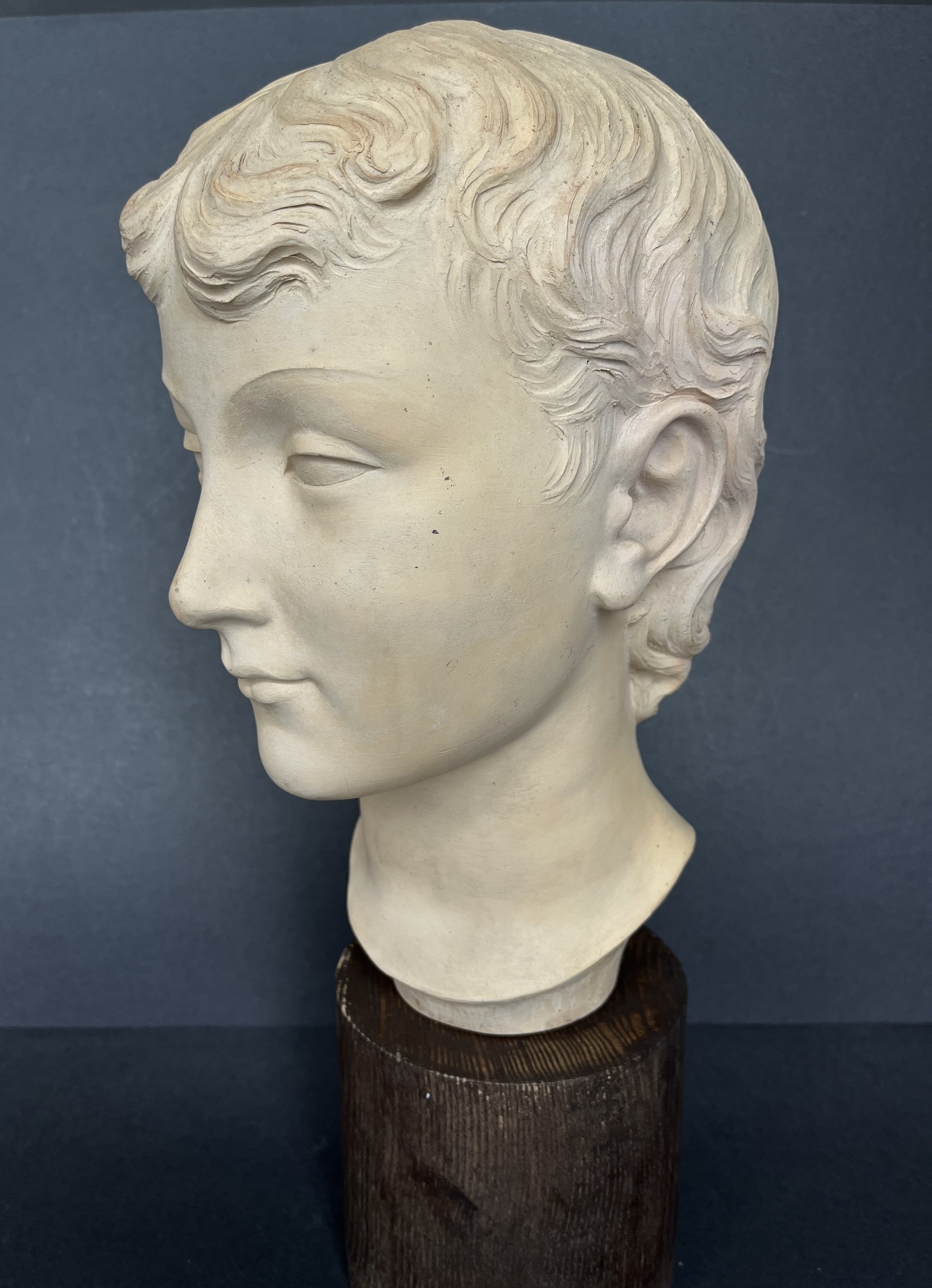 Young woman's head