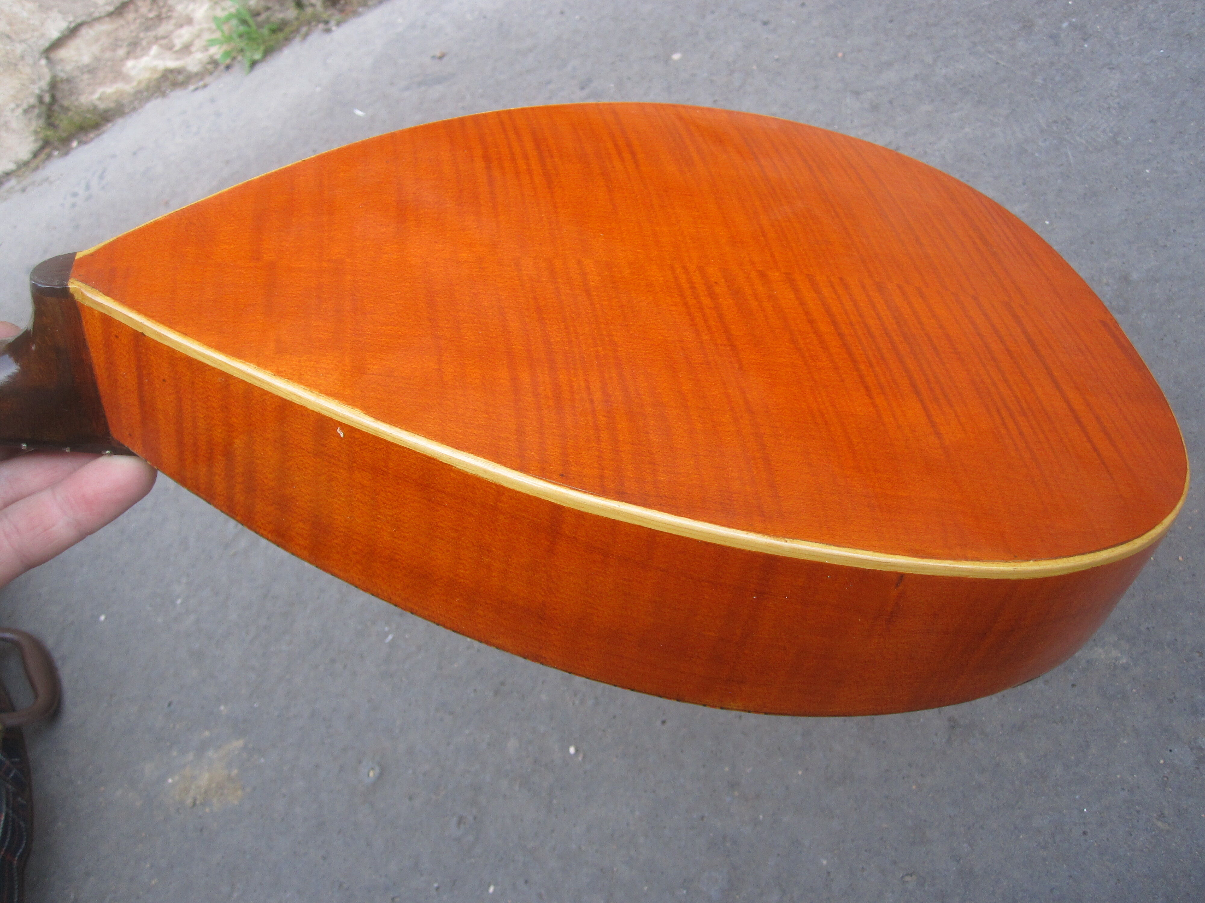 Mandolin luthier René Gérôme Mirecourt