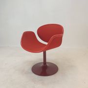 Little Tulip Armchair by Pierre Paulin for Artifort, 1960s