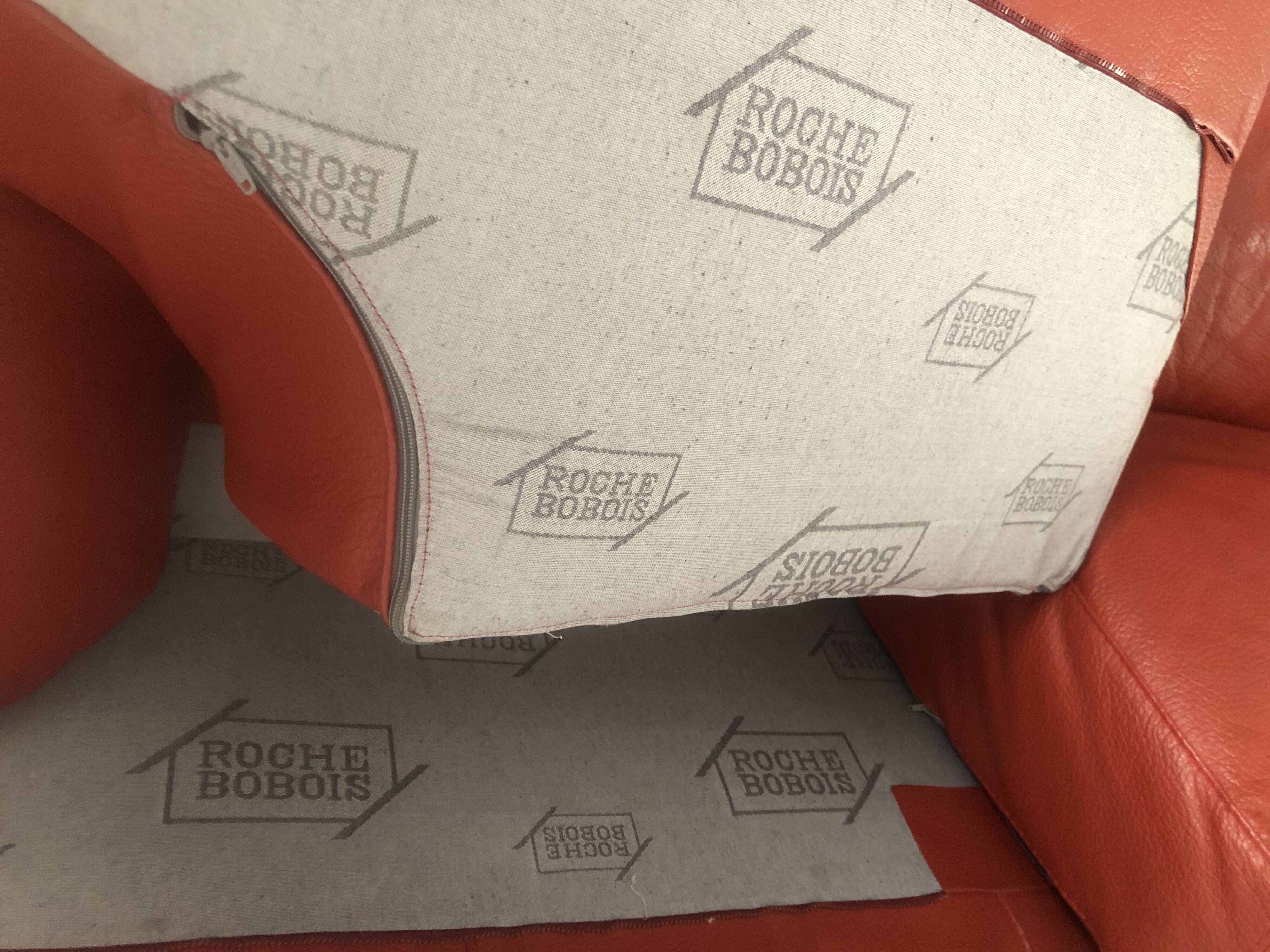 Roche Bobois sofa