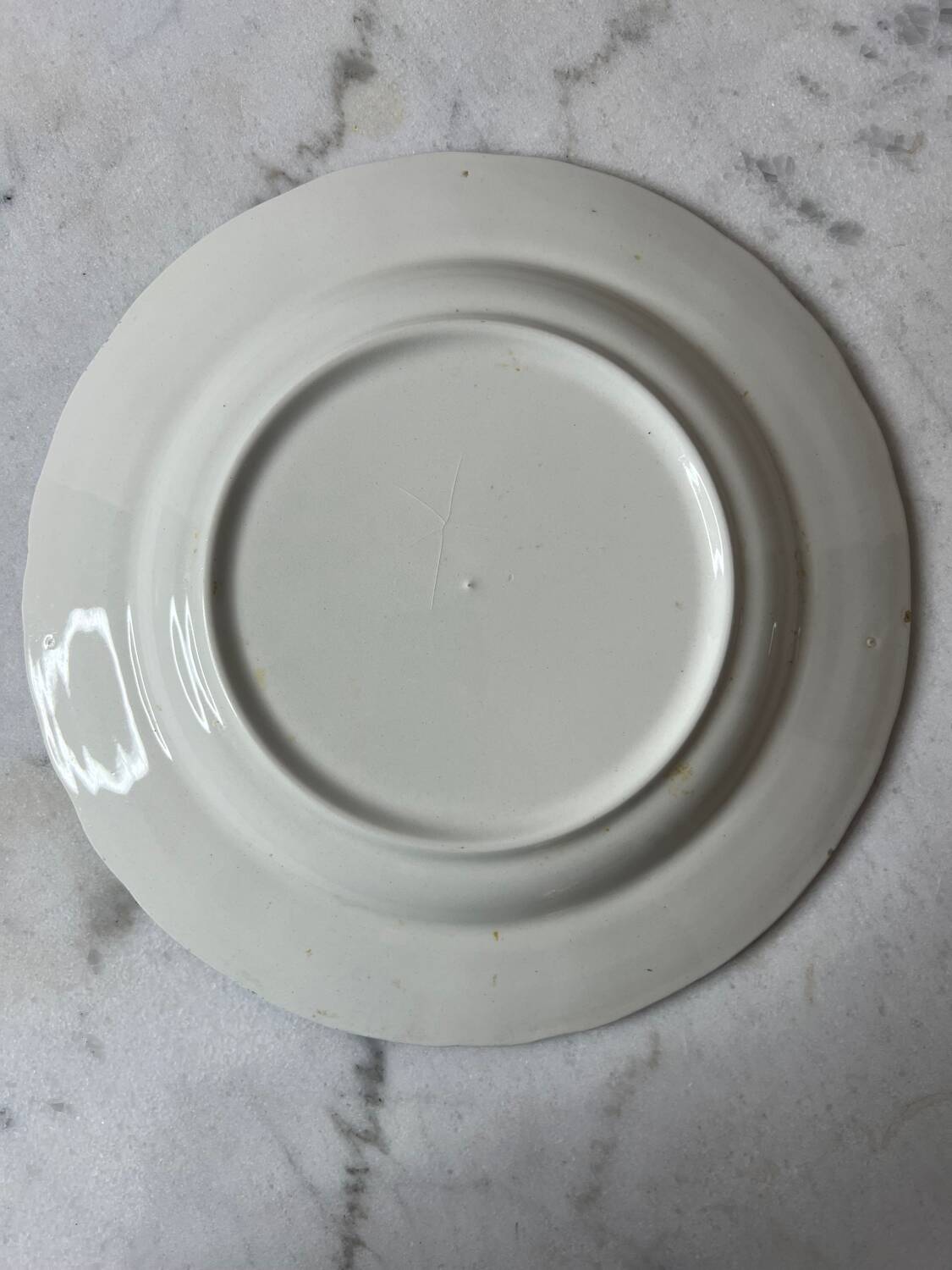 BP dinner plate