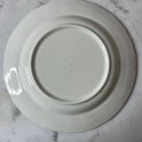 BP dinner plate
