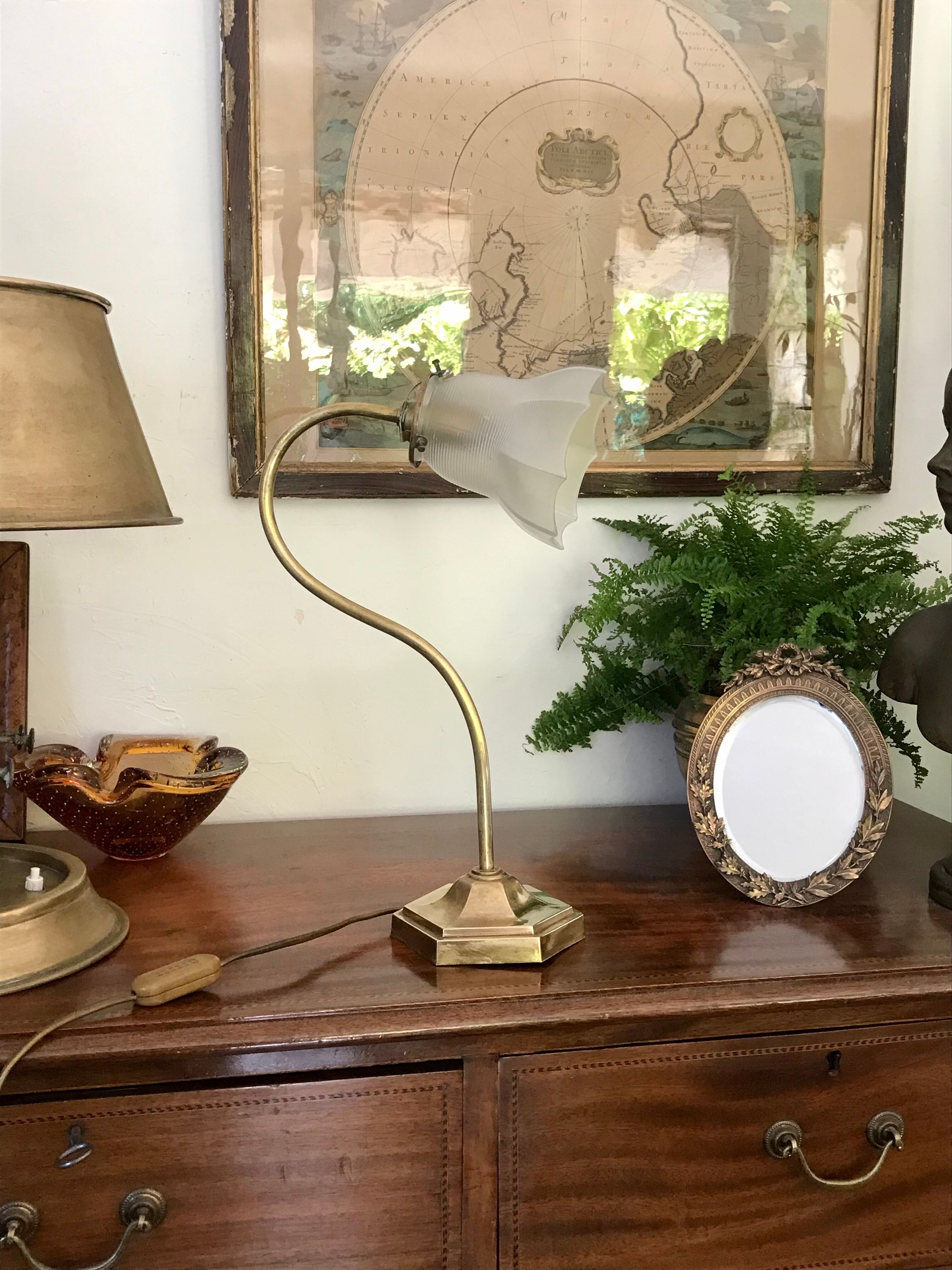 Brass gooseneck lamp