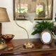 Brass gooseneck lamp