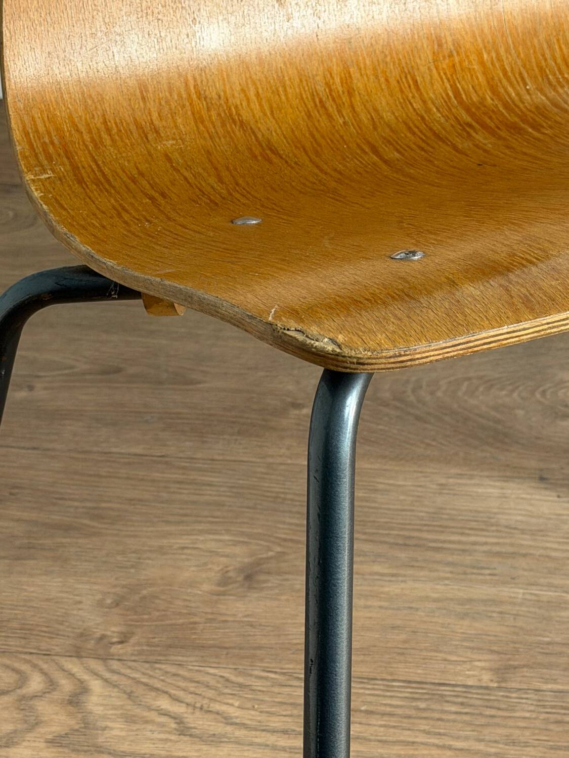 Pair of “Papyrus” chairs attributed to Pierre Guariche, France 1950