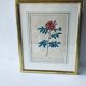 Botanical engraving framed