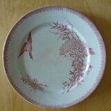 Plate Pexonne rose