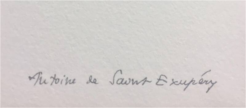 Antoine de Saint-Exupéry  -Le Petit Prince endormi, 2009