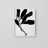 Botanical illustration in black, 50x70