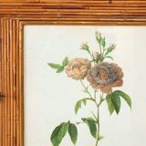 Split bamboo cabinet and engravings under glass 1960