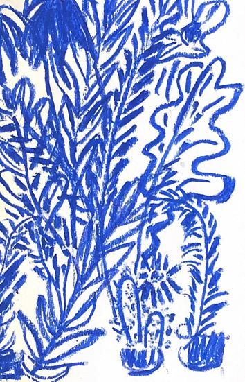 Illustration "fresh vegetation" - A4