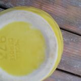 Pitcher dabbling lemon