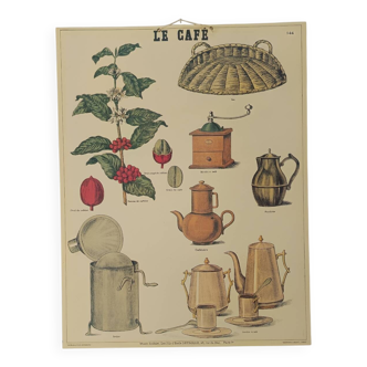 Affiche pédagogique Deyrolle