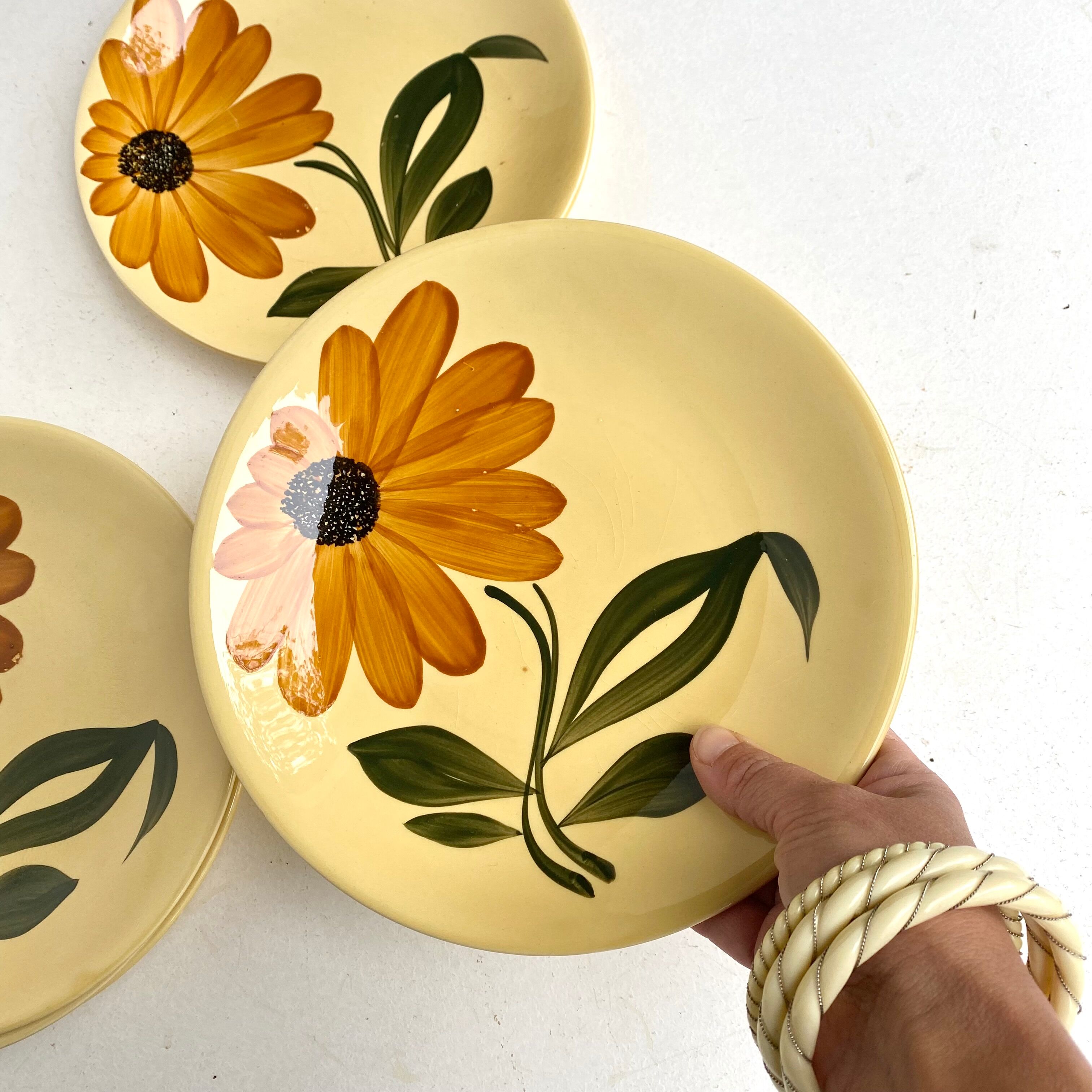 Porcelain plates from gien