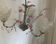 Lustre tulips and tassels