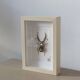 Tableau insecte brodé à la main (pièce unique)
