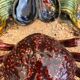 Plat crabe