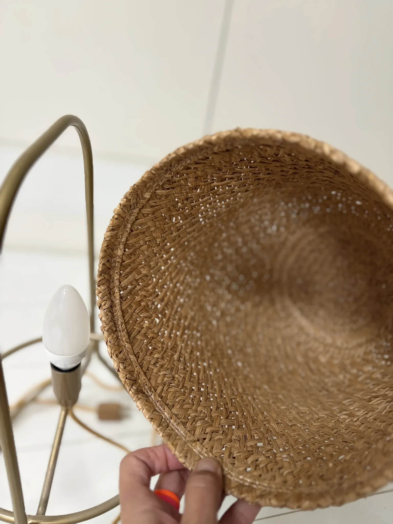 Paleae Brasilis table lamp by Brunno Jahara & Ana Voss