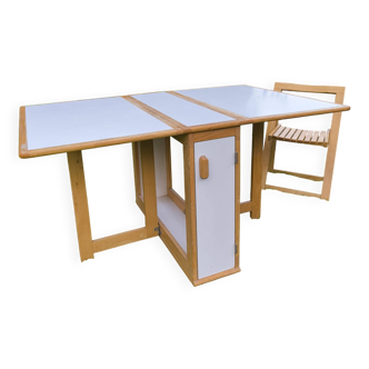 Set of 4 Aldo Jacober style chairs and butterfly table