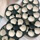 Green and white slip oyster plates
