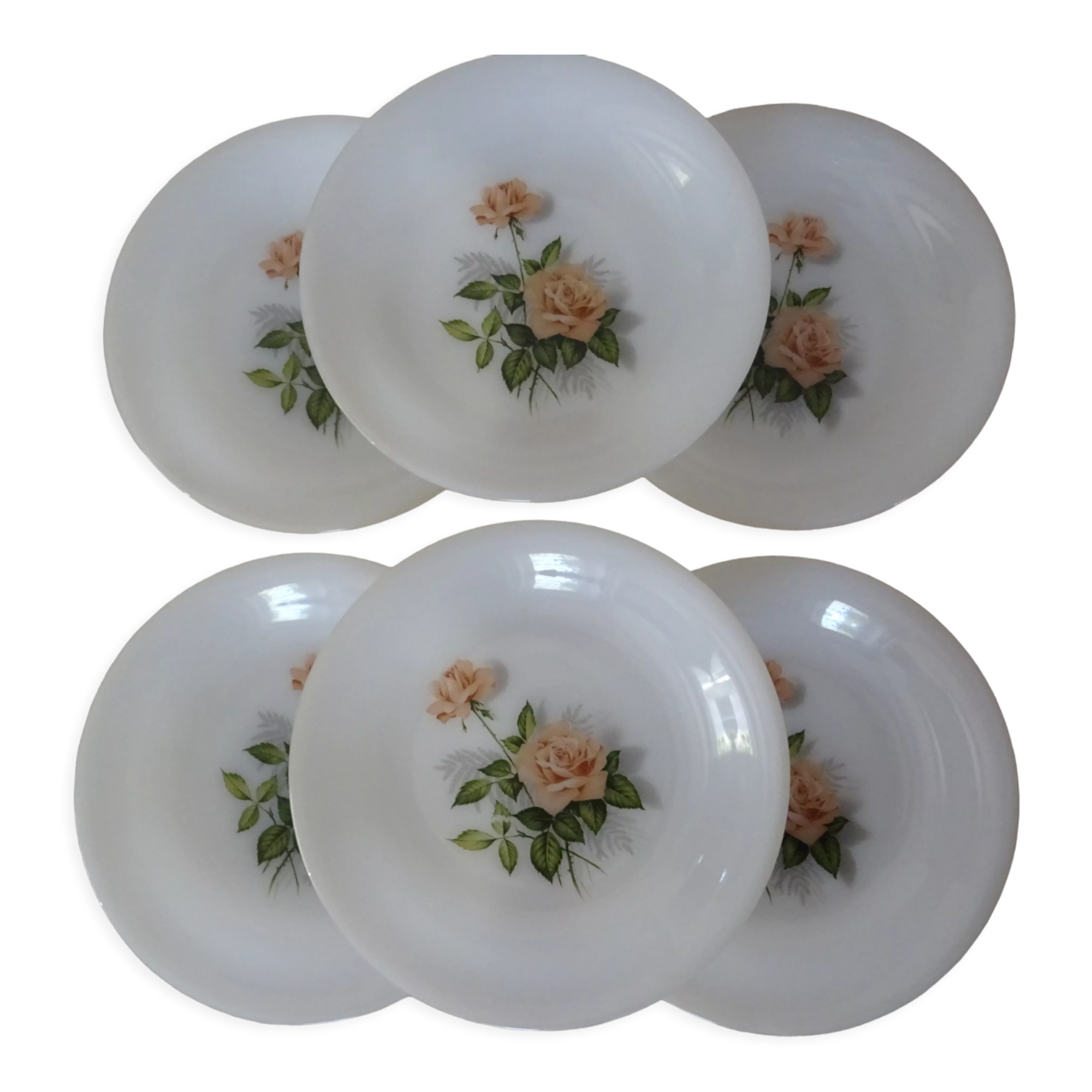 6 plates roses from France flowers hollow Arcopal