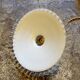 Opaline suspension