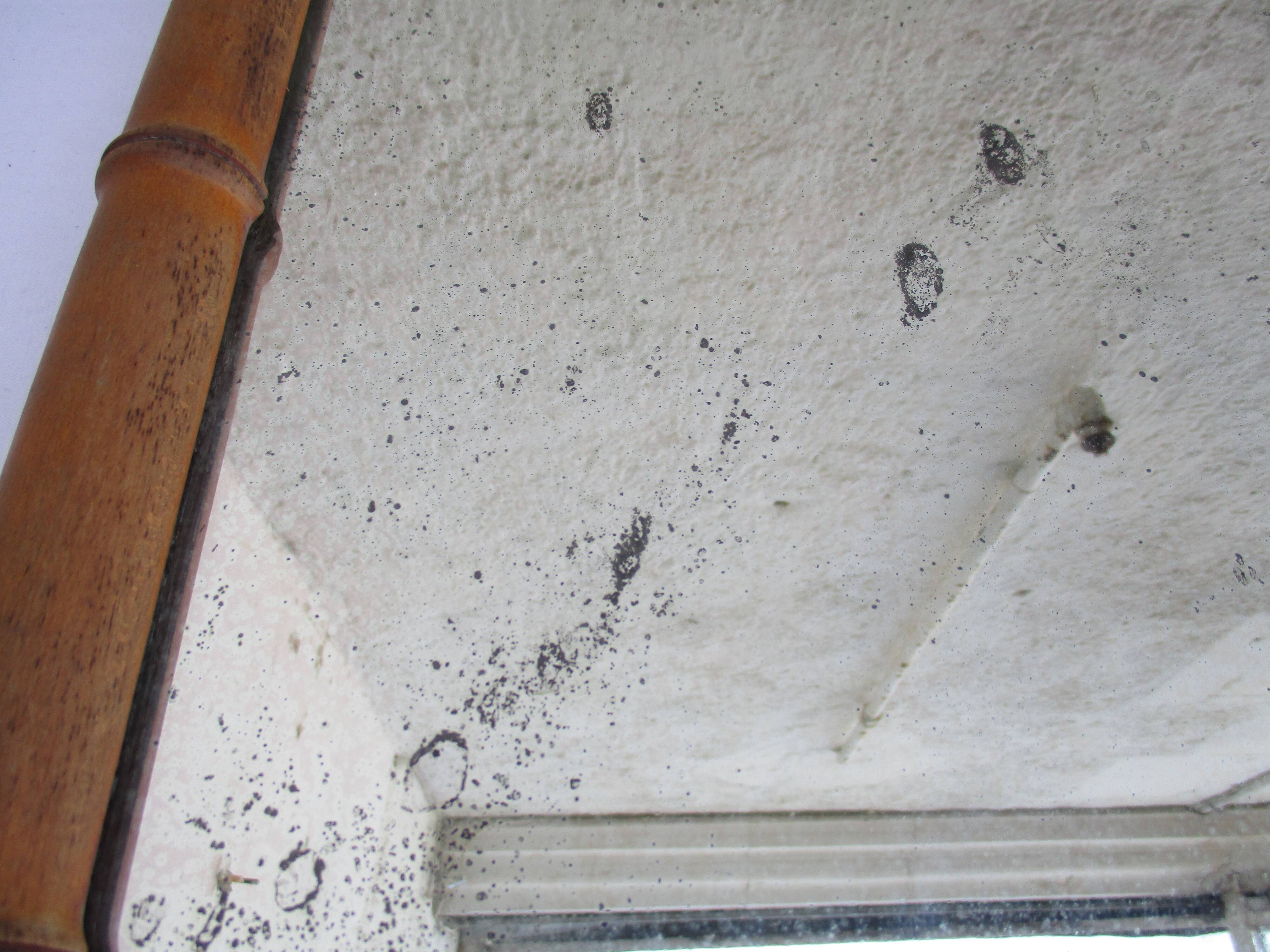 Wall mirror  bamboo style 91x70cm