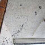 Wall mirror  bamboo style 91x70cm