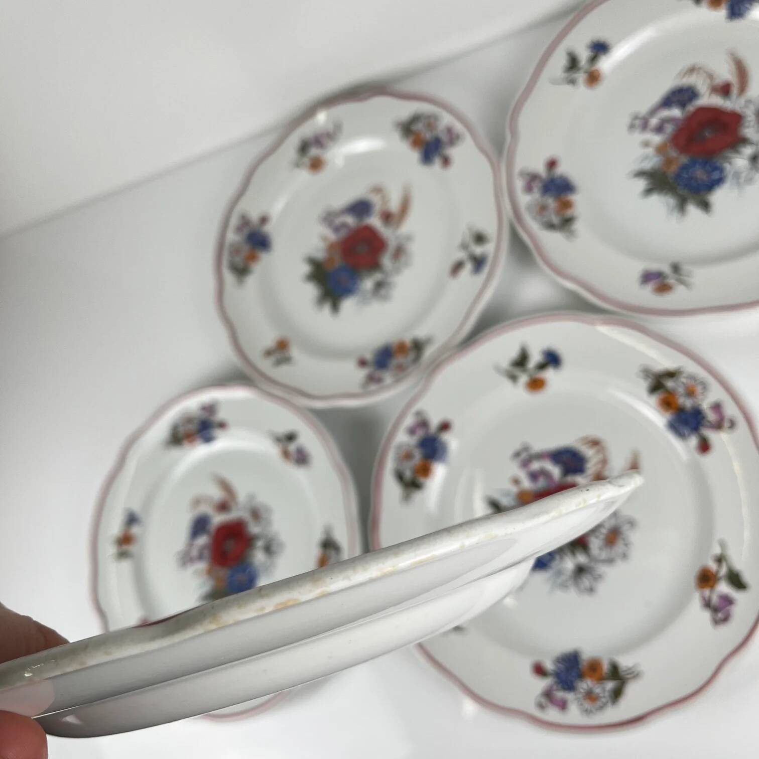 Set of 6 flat plates "Agreste", Sarreguemines, late 20th century, Pyroblan