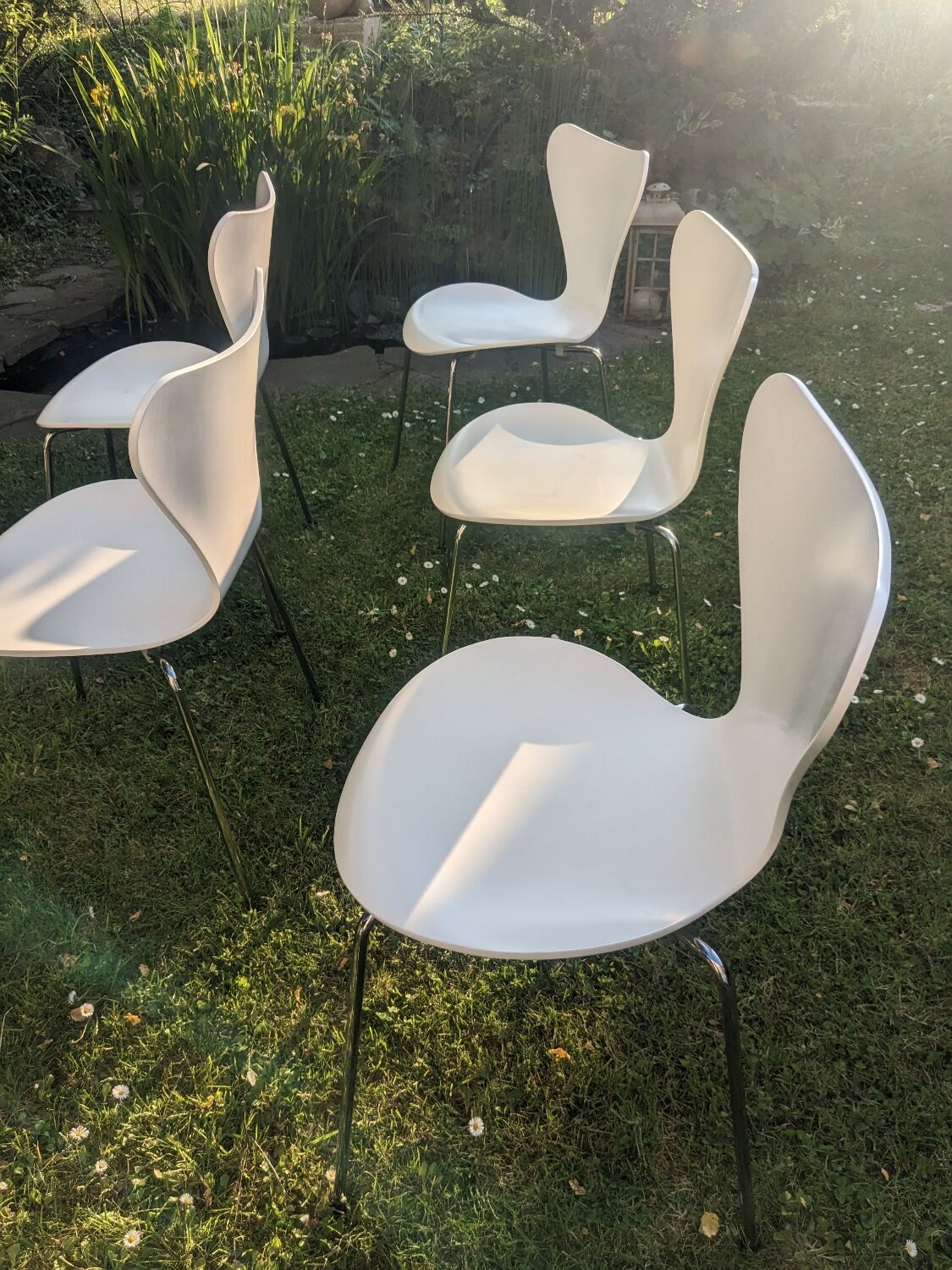 6 chaises série 7 d'Arne Jacobsen pour  Fritz Hansen