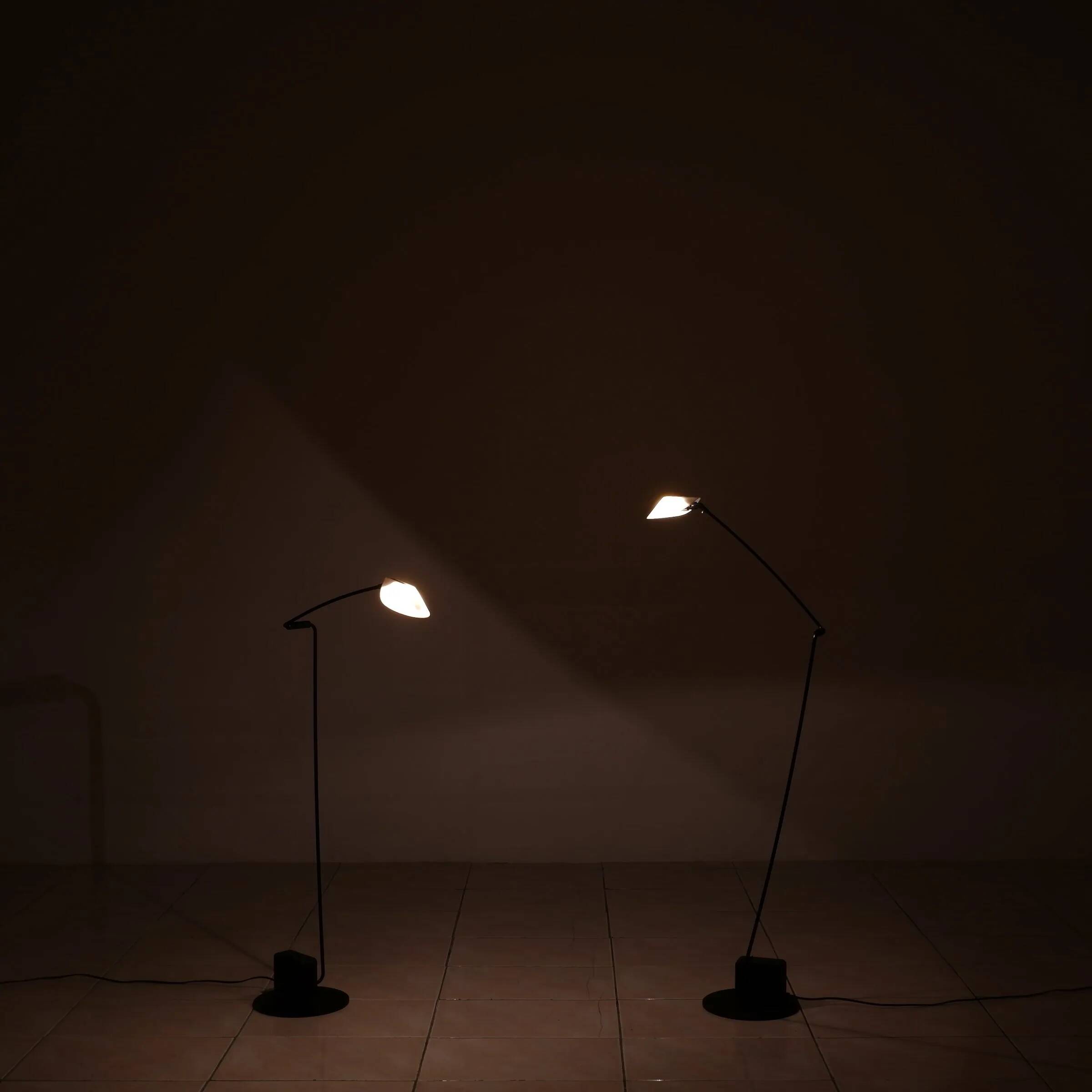 Set of 2 "Ambra" floor lamps by Valenti, Italy