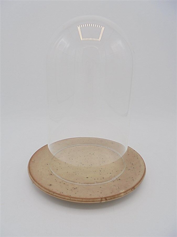 Cloche en verre sur assiette