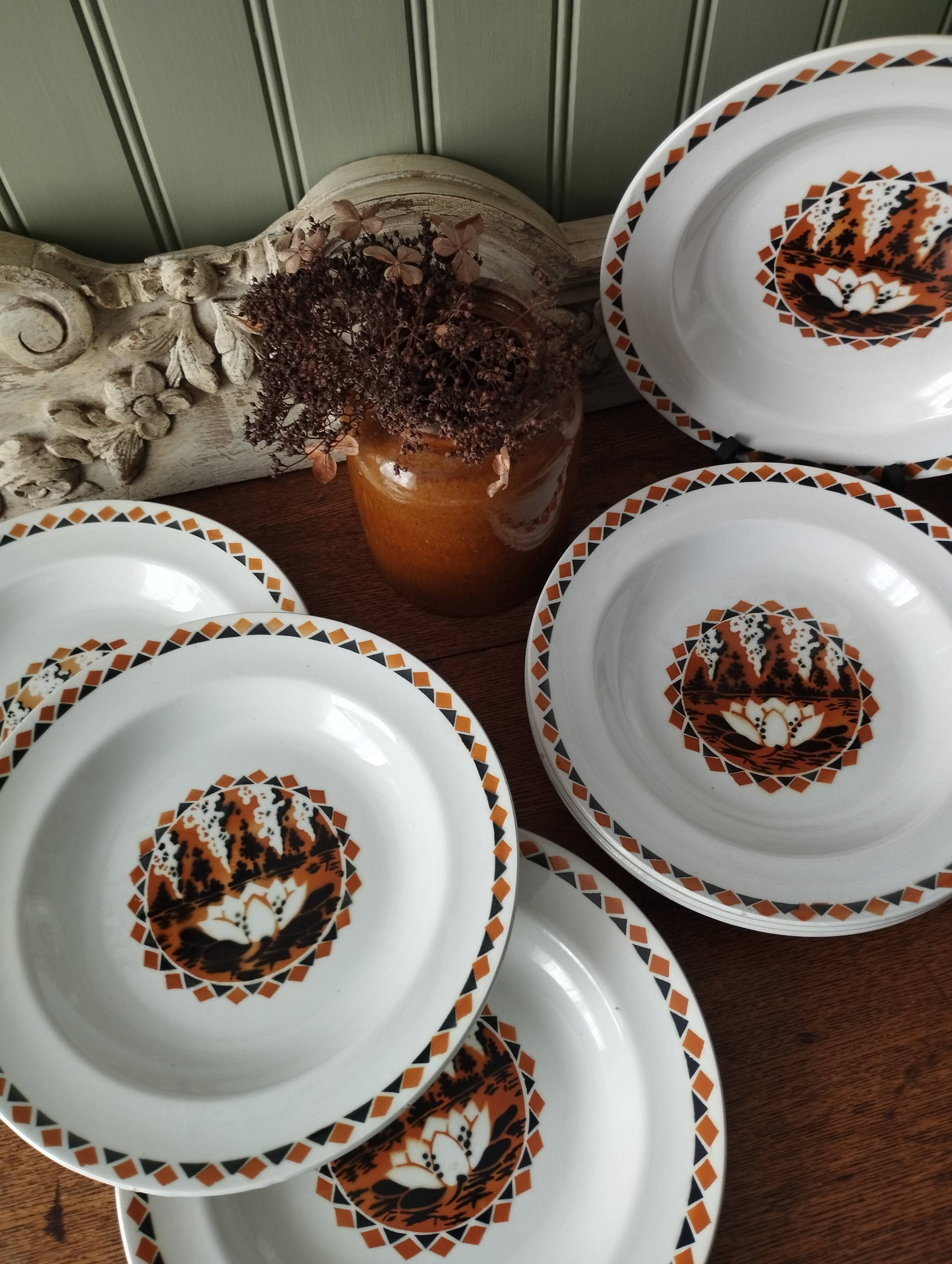 Set of 10 large ironstone plates Art Deco Saint-Amand Water Lily