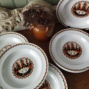 Set of 10 large ironstone Art Deco plates Saint-Amand Water Lily
