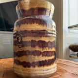 Marbled pitcher
