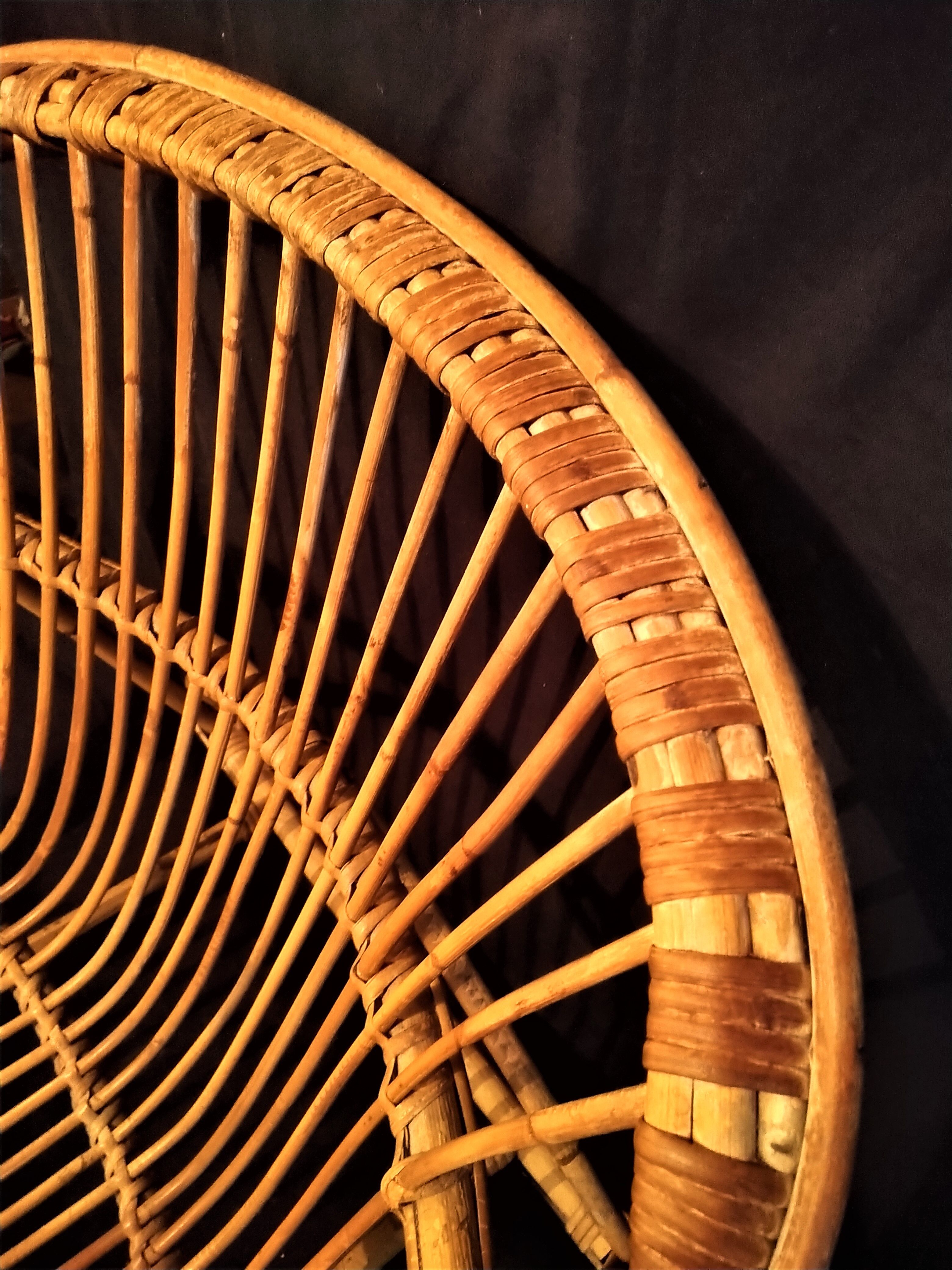 Adult rattan shell armchair