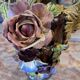 Vase en barbotine