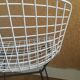 Harry Bertoïa Wire Chairs for Knoll