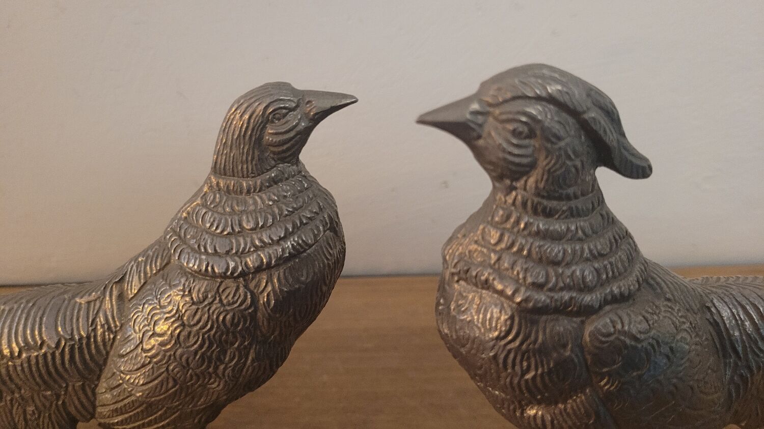 Couple of pheasant roosters