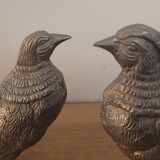 Couple of pheasant roosters