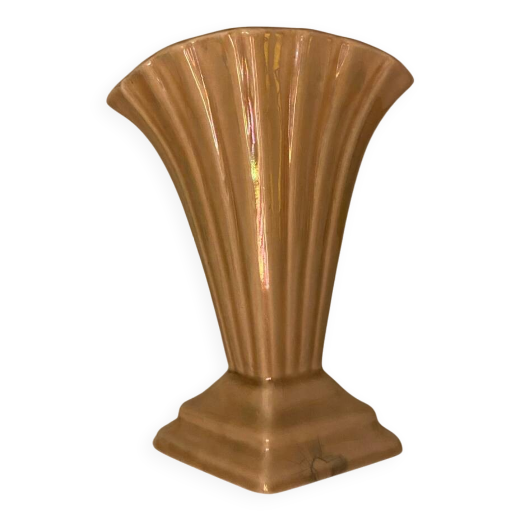 Beige shell vase