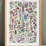 Affiche sur les fleurs, d'après une lithographie de 1922