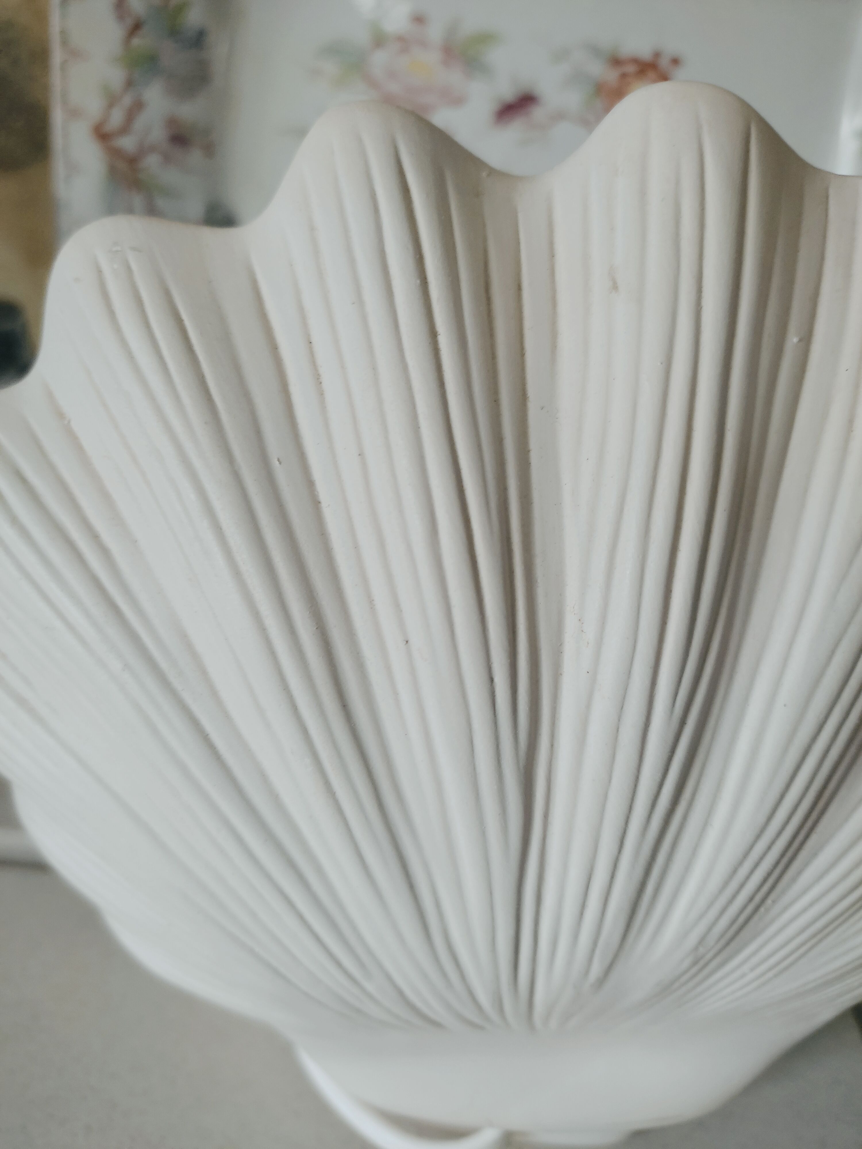 Shell and opaline lamp
