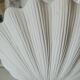 Shell and opaline lamp