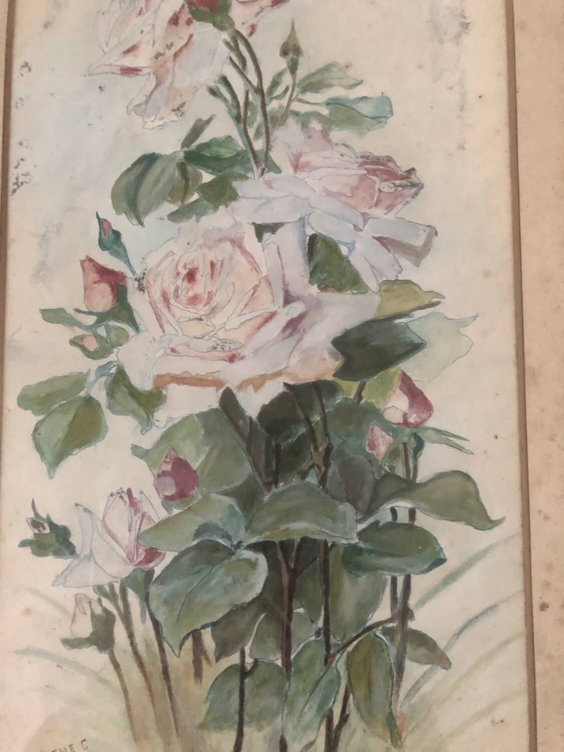 Ancienne aquarelle de 1908 bouquet de roses signée Le Sauce