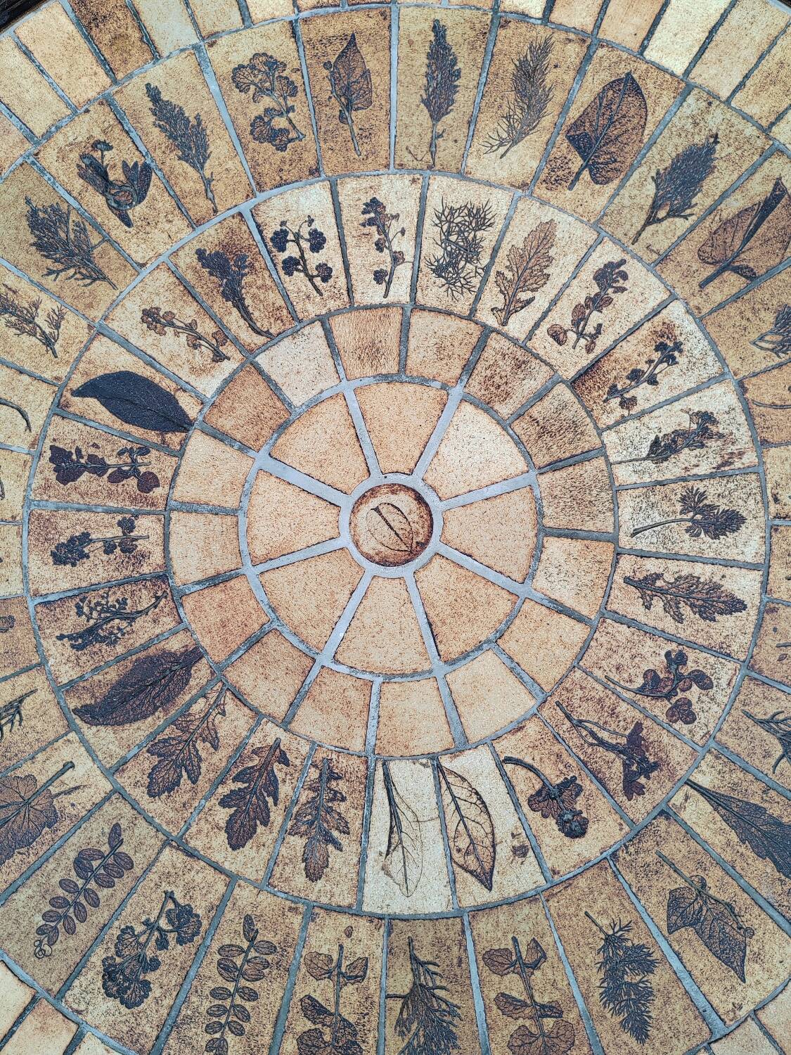 Herbarium coffee table Capron